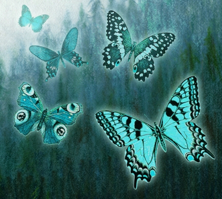 Butterflies in the forest